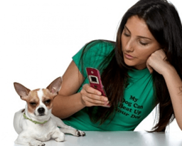 What’s Inside K9 Magazine Issue 56