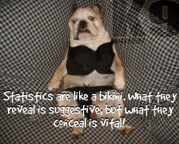 Official: Welsh Dogs Are 81% More Dangerous?