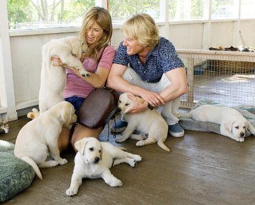 One In Eight Pet Owners Name Pets After Film Character