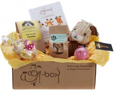 Easter Goes To The Dogs – Easter Gift Box Review