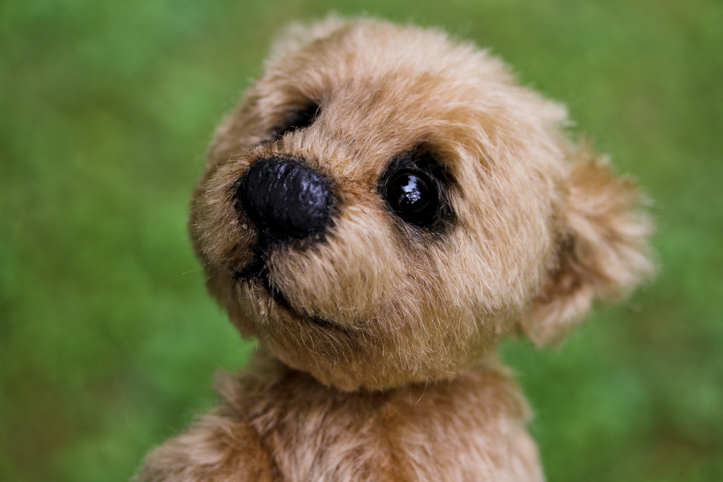 Coming to life... by thepeachpeddler fashion dog photo