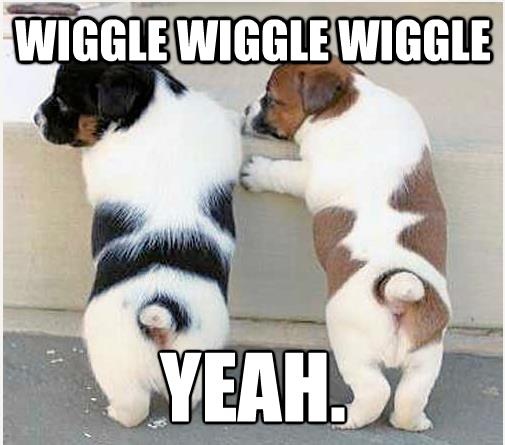 wiggle-wiggle-wednesday