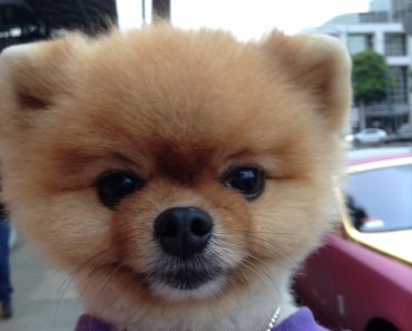 Have You Heard About Jiff?