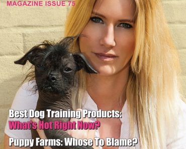 Download Your Tablet Friendly Edition of K9 Magazine Issue 75