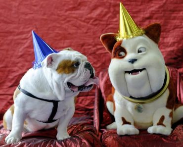 Happy Birthday Churchill, says lookalike