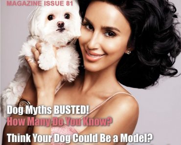 Get Your Copy of K9 Magazine Issue 81 for Tablets NOW!