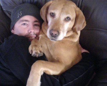 Stem Cell Treatment for Degenerative Myelopathy (Before & After)