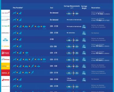 The True Cost of Flying with Pets