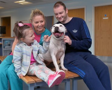 Dog Reunited With Owners Three Years After Going Missing