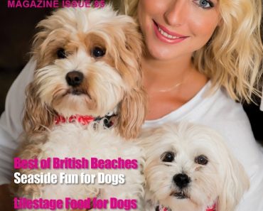 Have You Got Your Copy of the Latest Edition of K9 Magazine?