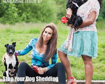 Have You Downloaded K9 Magazine’s Latest Issue Yet?