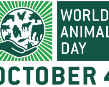 World Animal Day Makes Animal Welfare Global Event