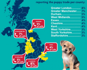 Astonishing 122% Increase in Puppy Farm Complaints