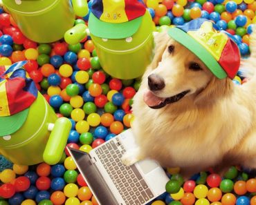 Google Handed Twitter Reigns to a Dog to Celebrate Canine Trending Topic