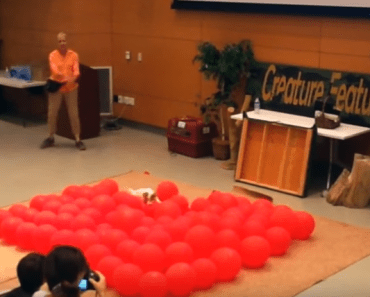 WATCH: This Dog Just Broke The Guinness World Record for Bursting 100 Balloons