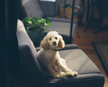 ‘Queen of Clean’ Shares Top 5 Tips for Keeping Homes Risk Free This Summer