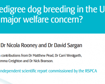 The State of Pedigree Dogs & Pedigree Dog Breeding