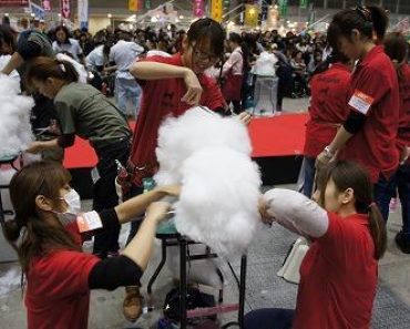 What Are The Japanese Doing to Their Dogs?