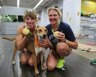 Not All Brazilians Were Happy the Olympics Came to Rio, but These Animals Were