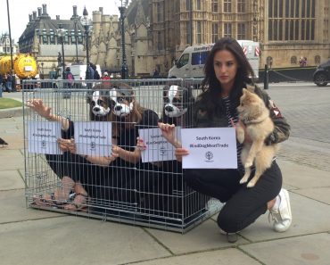 Celebrities Urging British Govt to Use Diplomatic Influence to Save up to 3 Million South Korean Dogs