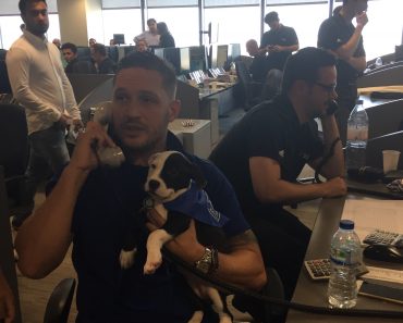 Tom Hardy + Dogs = Hearts Melted Everywhere