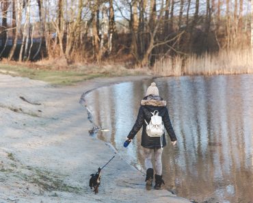 New Study Says Dogs Make Neighbourhoods Feel Safer