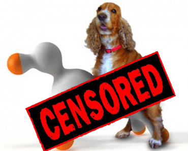 Did You Know A Company Made a Sex Doll For Dogs?