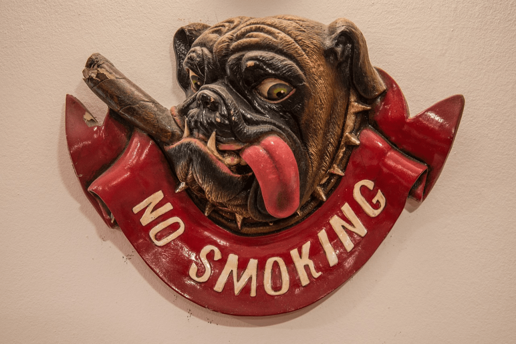 Smoking With Dog In The Room Is Passive Smoking Bad for Dogs?