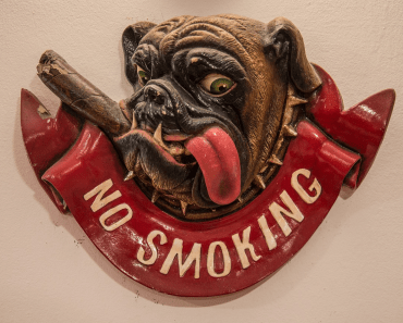 Smoking With Dog In The Room – Is Passive Smoking Bad for Dogs?