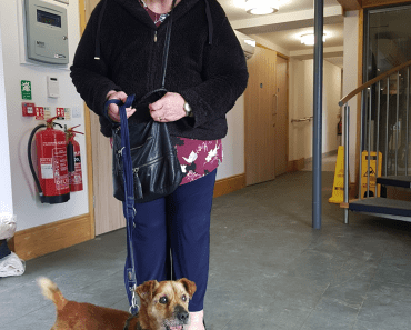 Stormy is 19 Years Old & He’s Just Been Adopted!