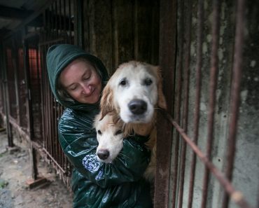 Simon Cowell Helped to Save These Dogs From the Dog Meat Trade