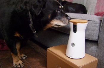 Best Pet Treat Camera For Older Dogs