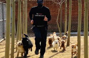 Dogs Saved From Chinese Dog Meat Trade Will Get New Lives